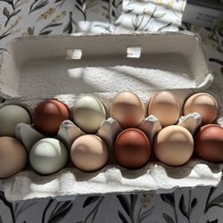 Fresh Eggs!