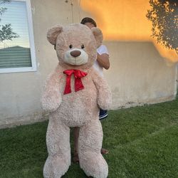 Huge Teddy Bear