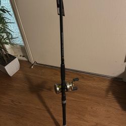 Fishing Pole Combo