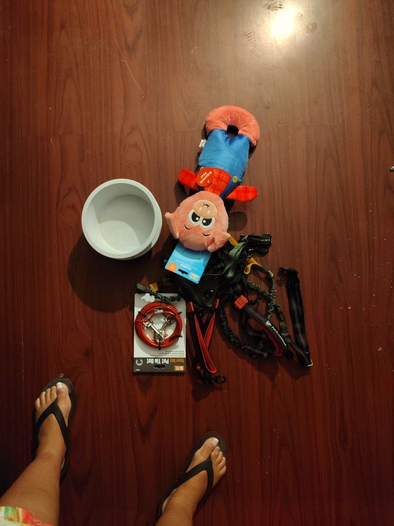 Dog Items