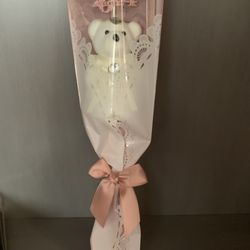 2024 Bear Graduation Gift (Pink)