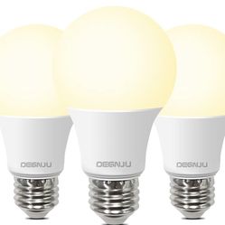 A19 LED Light Bulbs