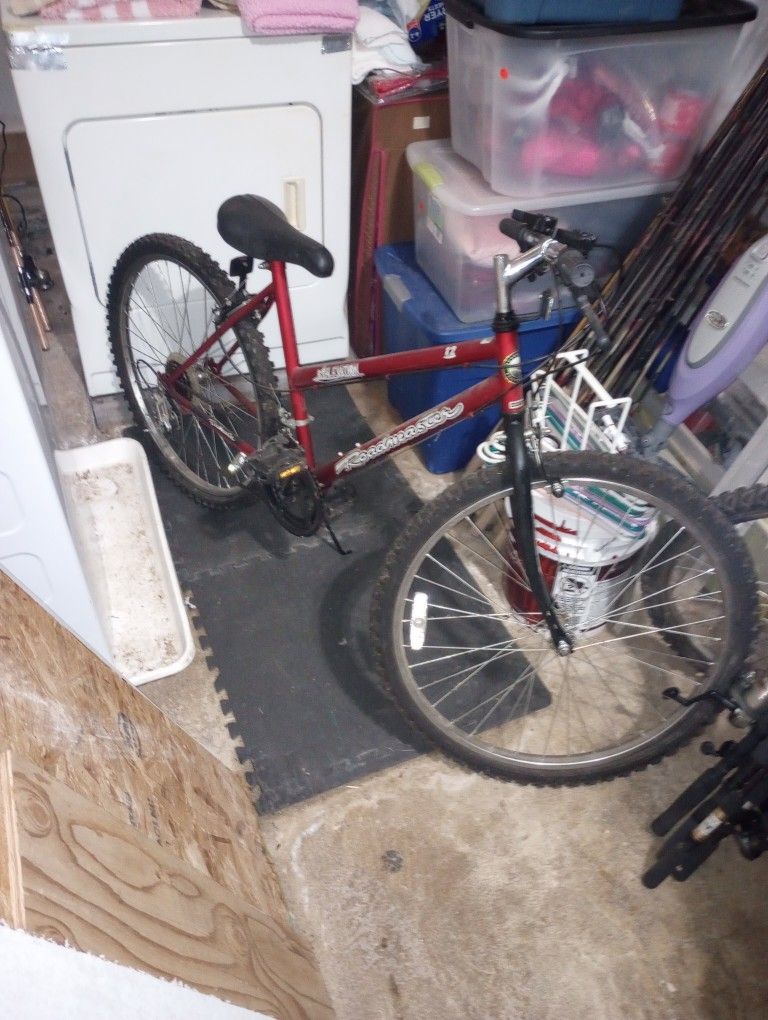 26 In Women's Bike Roadmaster Elevation 