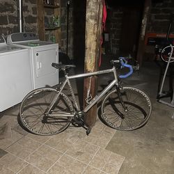 LANGSTER SPECIALIZED