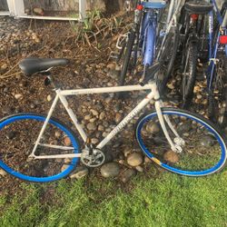 Windsor Fixie Bike