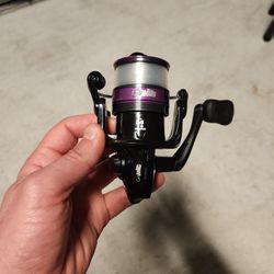 Abu Garcia Fishing Reel