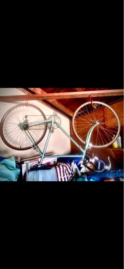 Vintage Custom 12 Speed Bike