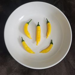 Rare Organic Aji Lemon Drop Pepper Seeds! 