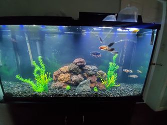 Fish tank 60gallons