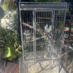 Bird Cage 