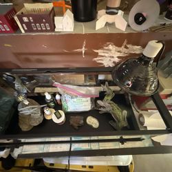 Lizard Tank For Sale New