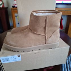 Brand NEW UGG SHORT SIZE 8 WOMENS BOOTS