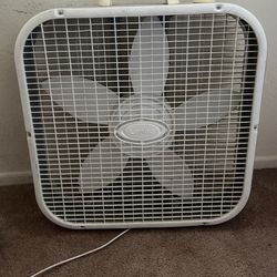 Fan