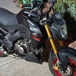 2021 KAWASAKI Pro Z125