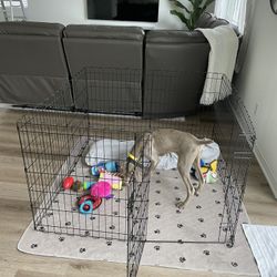 Puppy Dog Play Pen and Waterproof Mat for Sale in Winchester, CA - OfferUp