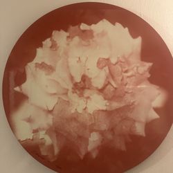 Beautiful Custom Made Art “ Mix Of White And pink Roses” 