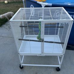 Bird Cage 