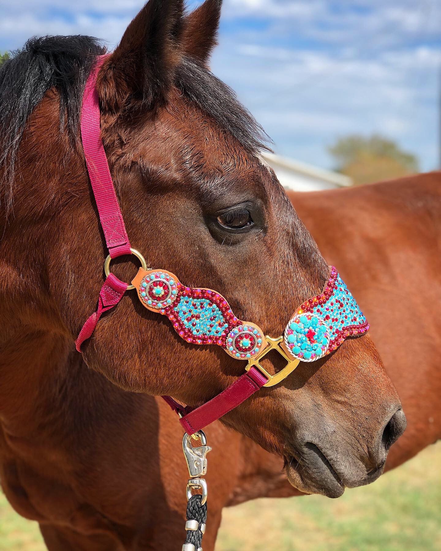 Bling Halter