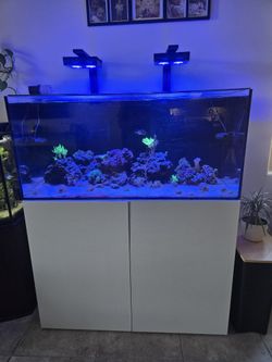 Water Box 110, Salt Water Aquarium 
