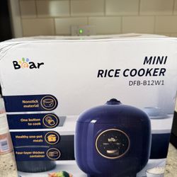 Rice cooker
