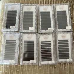 Lash Trays