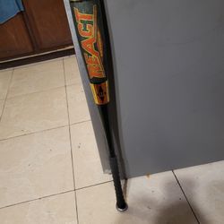 Baseball Bat 33