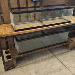 33g Long Tanks ( Two)
- Double stand setup
- $250 - OBO