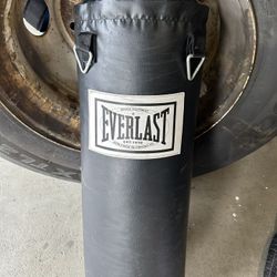 Everlast Mini Boxing Bag