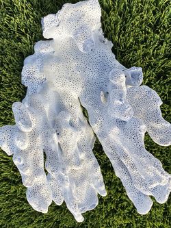 Rare Real Blue Coral For Fish Tank