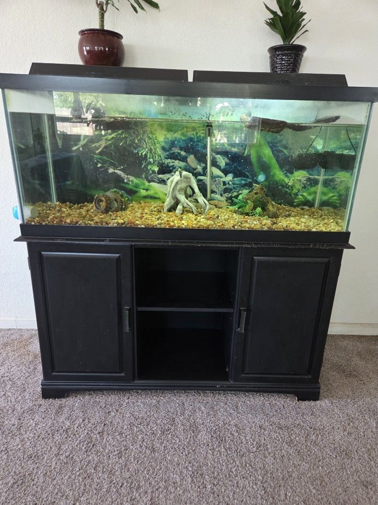 75 Gallon Tank 