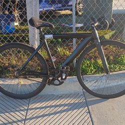 Leader 721 Fixed Gear Bike