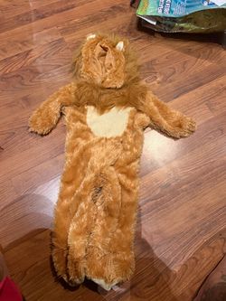 Lion costume