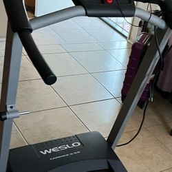 Waslo Treat Mill 250 Brand New