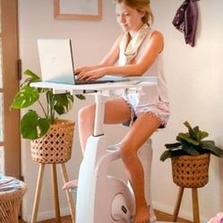 New FLEXISPOT Laptop, Workout Bike, Chair
