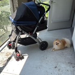 Dog Stroller