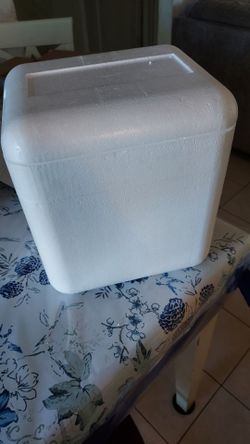 Styrofoam Ice Box with Ice Packs