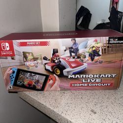 Mariokart Live Home Circuit 