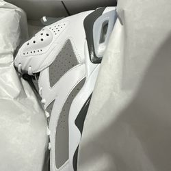 Jordan Cool Grey 6