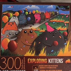 Exploding Kittens Puzzle 
