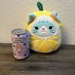 Squishmallow 