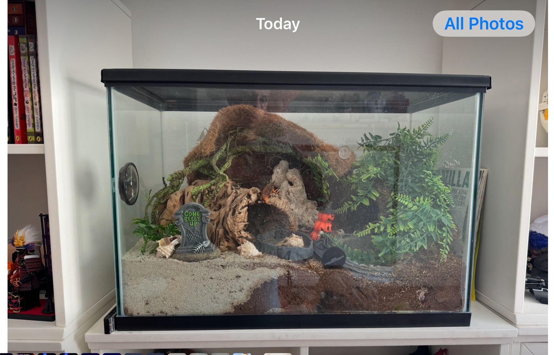 24x17x12 Fish Tank