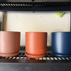Colorful Planters