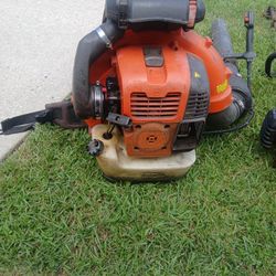 Blower And  2 Whips  Cash Only Price Is Firm