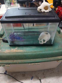 fish tanks