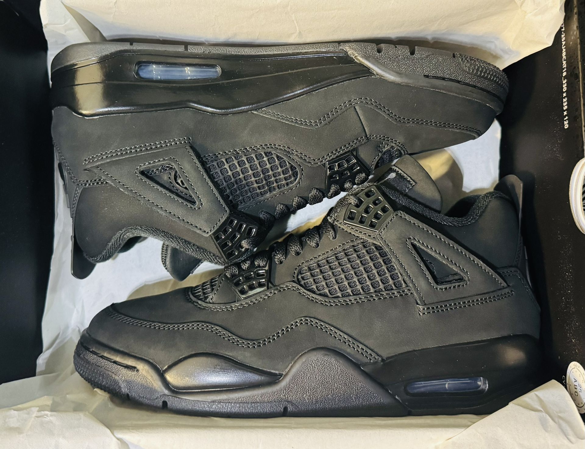 Air Jordan 4 Retro βBlack Cat (2025)β