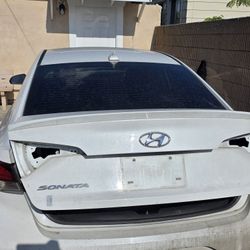 Hyundai Sonata Trunk 2015-2019 