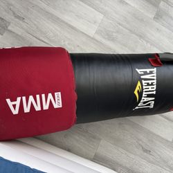 80lb Everlast Punching Bag