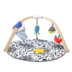 Baby Play Gym
