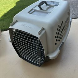 Pet taxi Kennels
