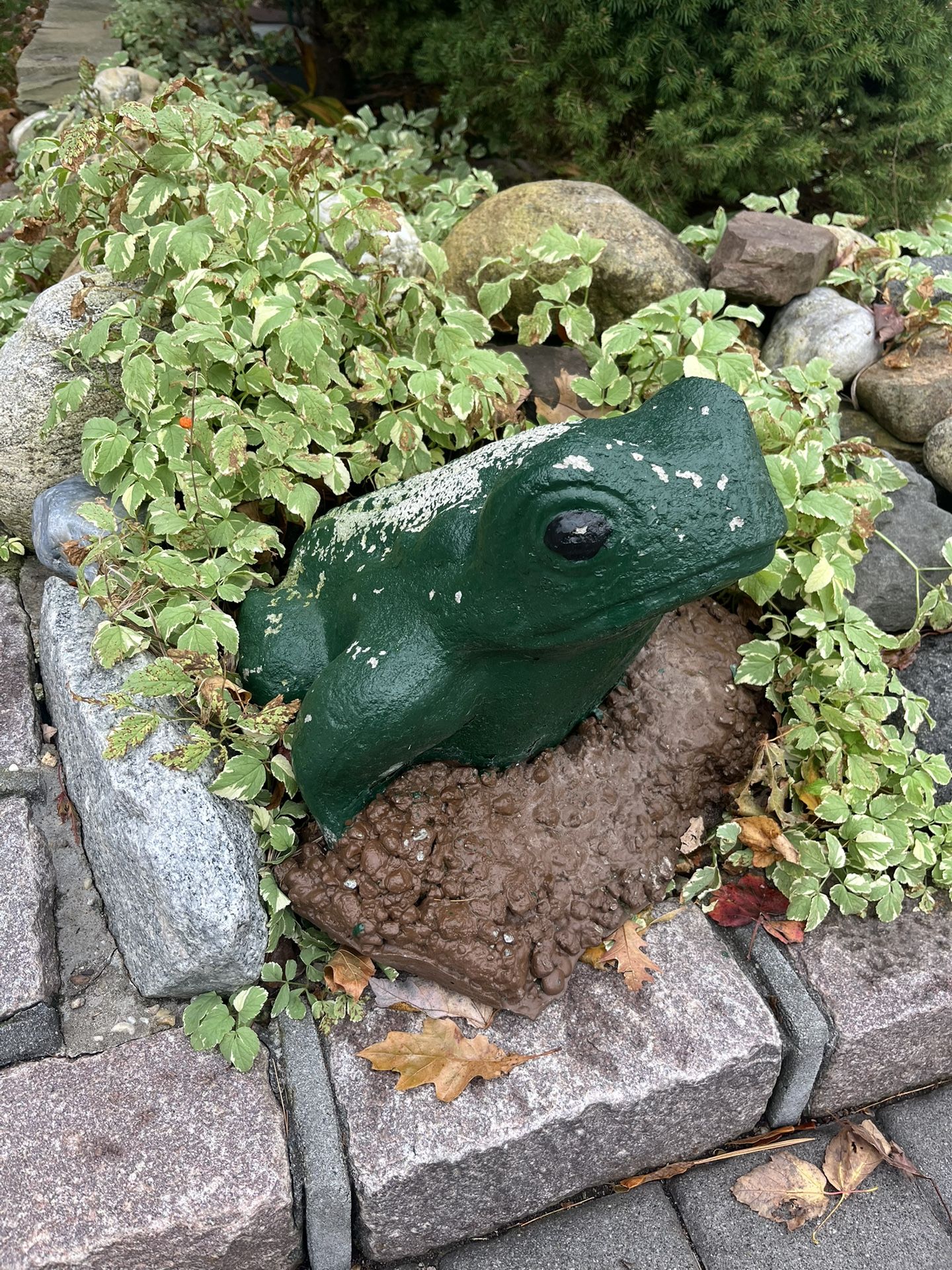 Concrete Frog
